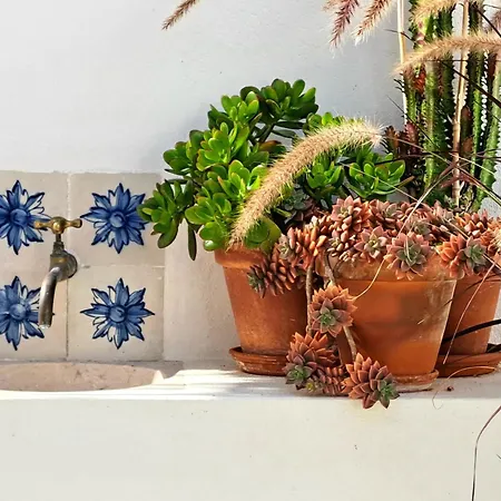 Casas Da Ginja - Private Pool