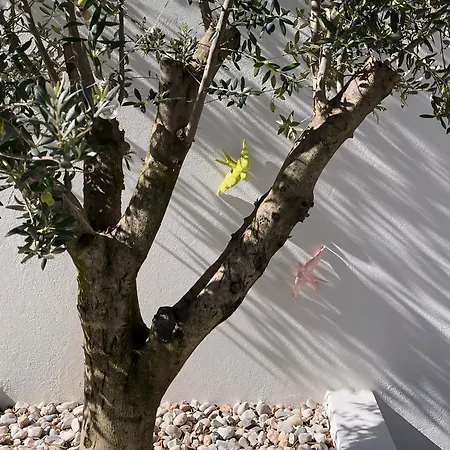 Holiday home Casas Da Ginja - Private Pool A dos Negros